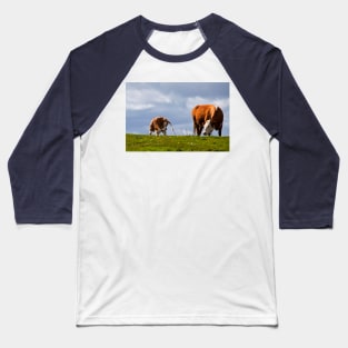 Sometimes all you need is a good scratch Baseball T-Shirt